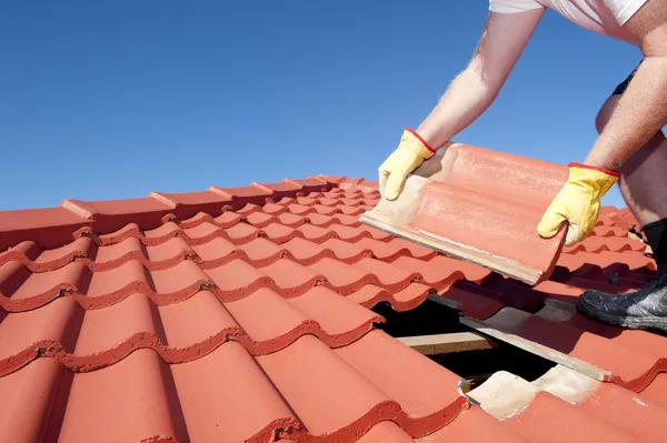 Professionals repairing roof